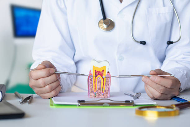 Best Emergency Dental Extractions in Sneads, FL